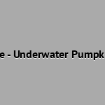 Donut Dive - Underwater Pumpkin Carving