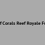 Mother of Corals Reef Royale Fundraiser