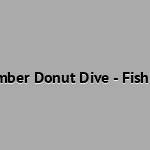 September Donut Dive - Fish Safari