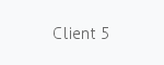 Emergency technical support client - Carlos Aragon rapid solutions