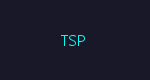 Texas Speed Logo