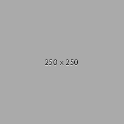 250x250