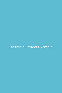 Password Protect Example