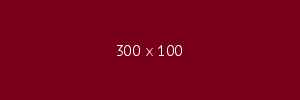 University of South Carolina Logo