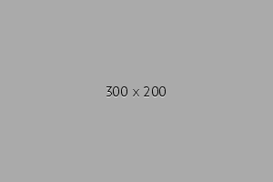 Image Alignment 300x200