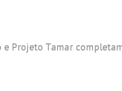 ArcelorMittal Tubarão e Projeto Tamar completam 20 anos de parceria 